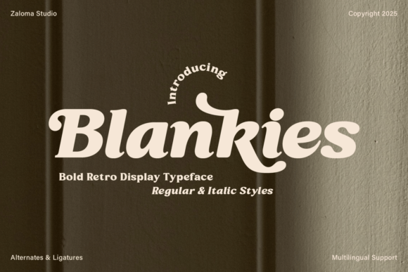 Blankies: A Bold Retro Serif Font for Editorial Authority