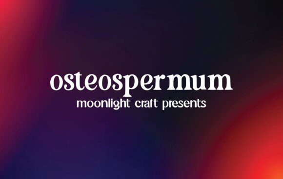 The Osteospermum Typeface: Designing Calm and Clear Editorial Experiences